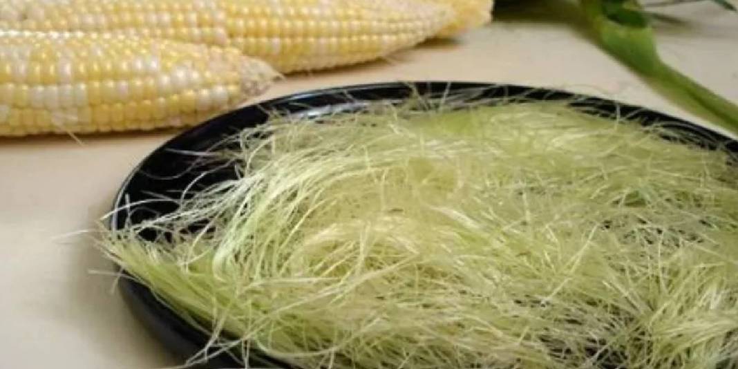 Yılda 2 kez yapana hastalık uğramıyor! Dr. Saraçoğlu altın kadar değerli tavsiyeyi paylaştı: Püsküllerini çöpe atmayın 3